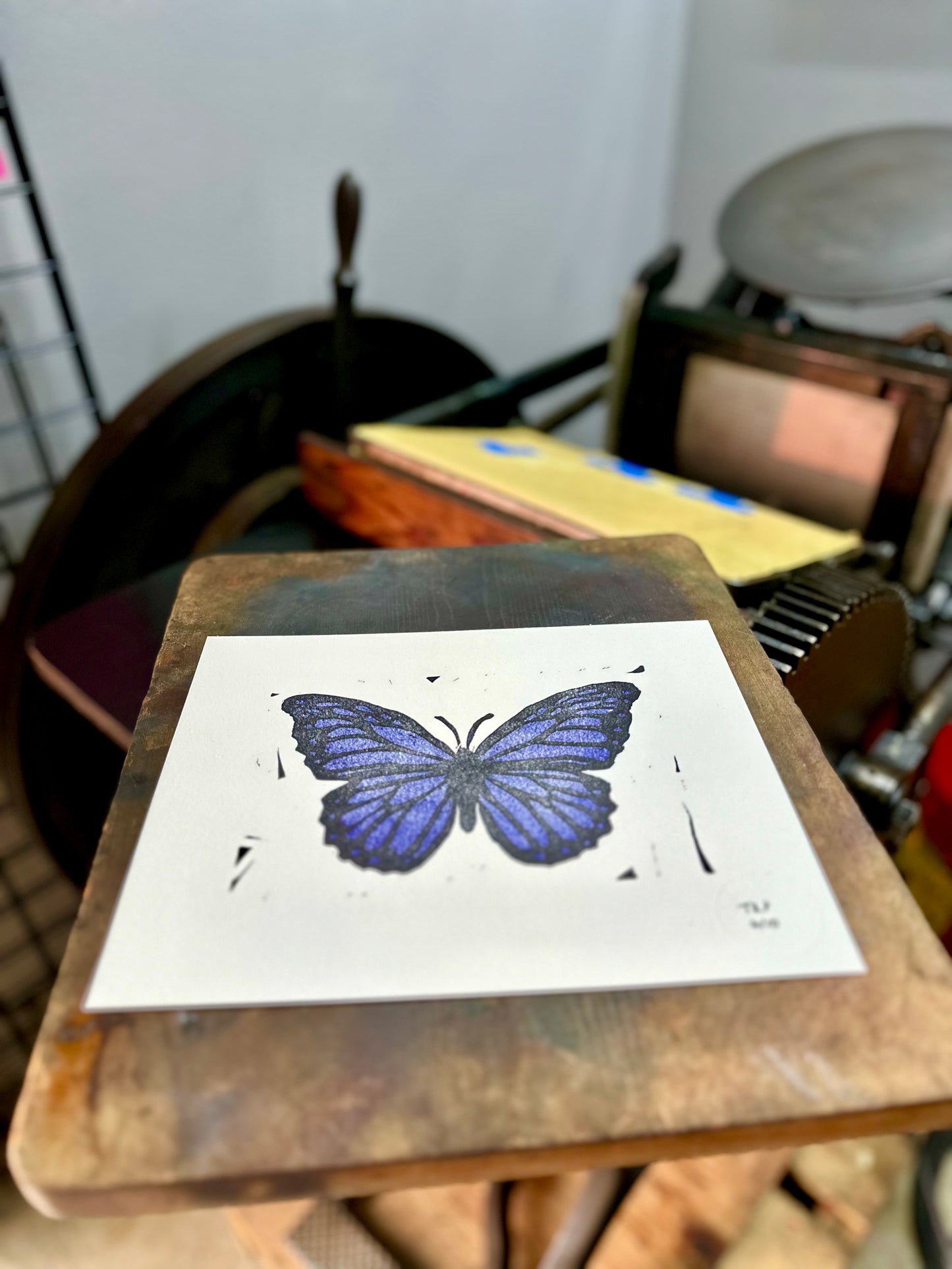 Metamorphosis