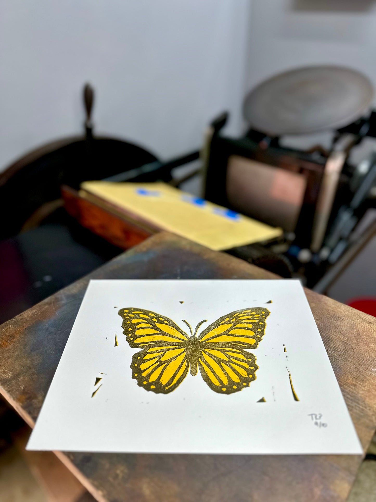 Metamorphosis - GPAC