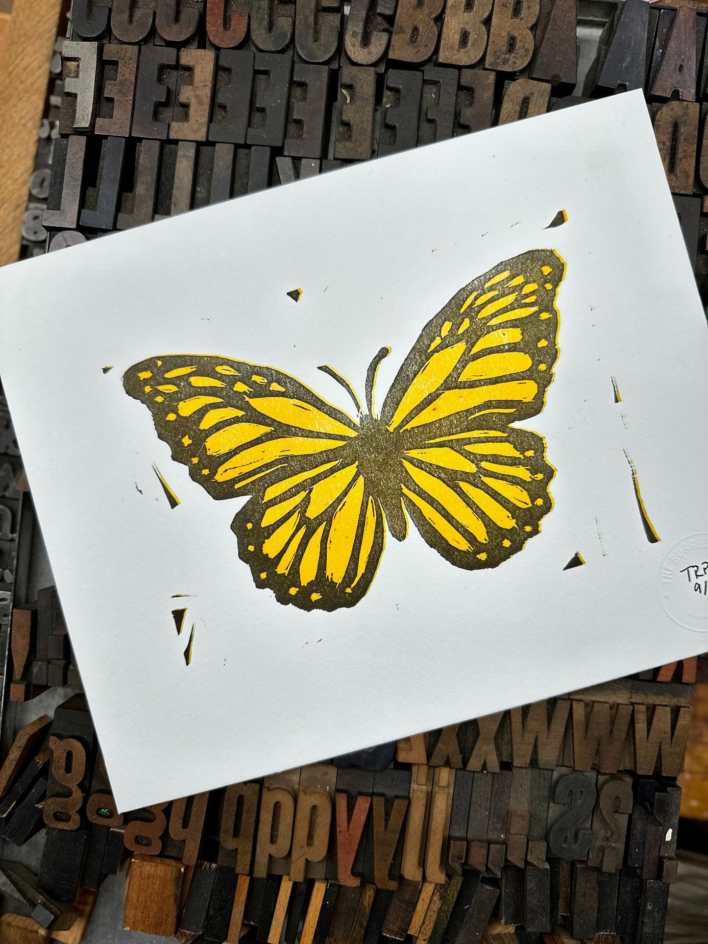 Metamorphosis - GPAC
