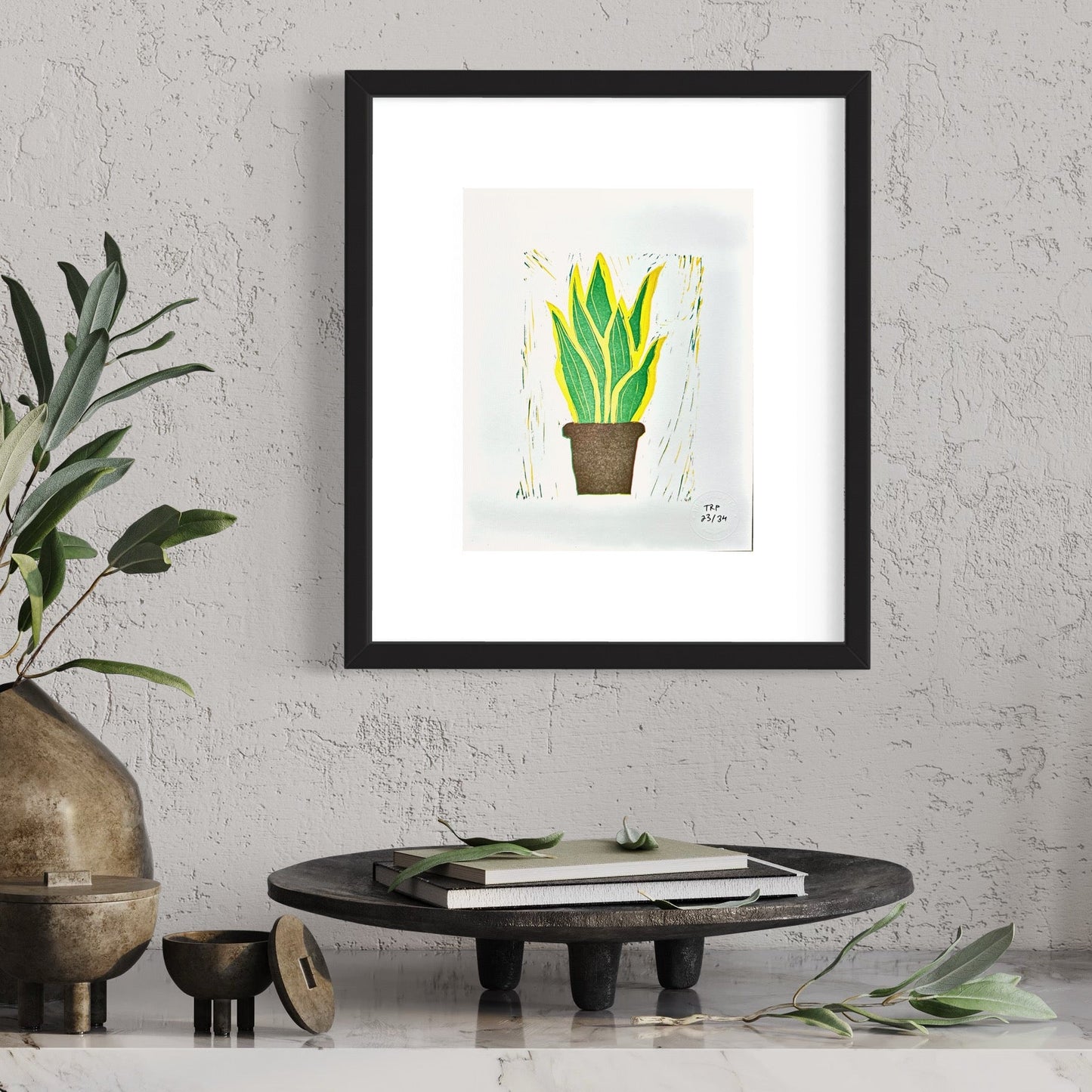 Dracaena Trifasciata - GPAC